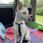 Keiji