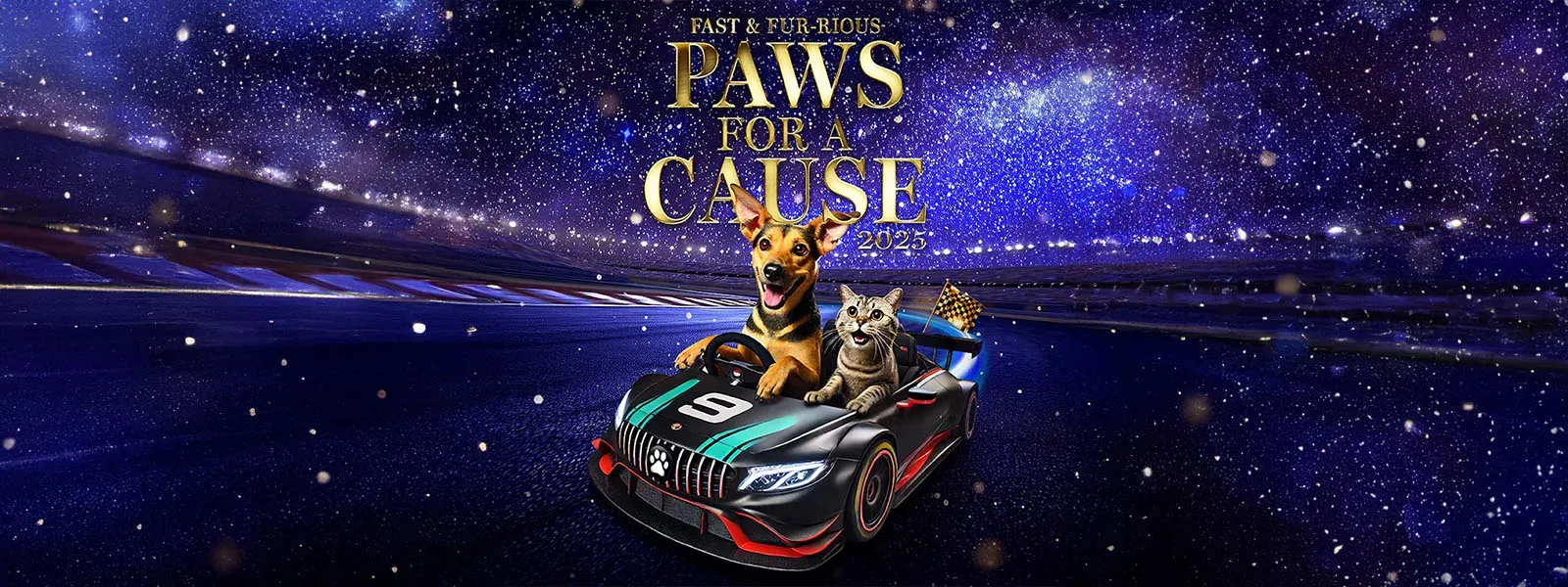 The SPCA Gala Fundraising Dinner 2025 & Upcoming Plans