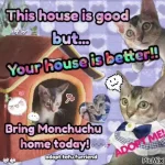 Baby Monchuchu