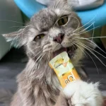 Tom